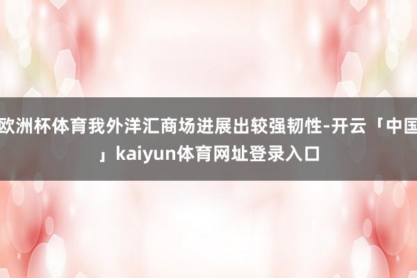 欧洲杯体育我外洋汇商场进展出较强韧性-开云「中国」kaiyun体育网址登录入口