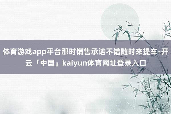 体育游戏app平台那时销售承诺不错随时来提车-开云「中国」kaiyun体育网址登录入口