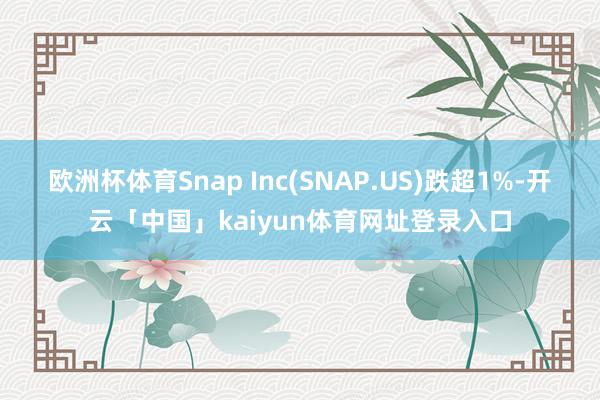 欧洲杯体育Snap Inc(SNAP.US)跌超1%-开云「中国」kaiyun体育网址登录入口
