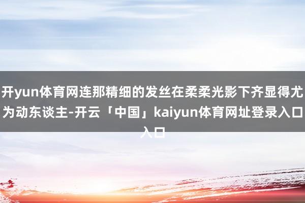 开yun体育网连那精细的发丝在柔柔光影下齐显得尤为动东谈主-开云「中国」kaiyun体育网址登录入口